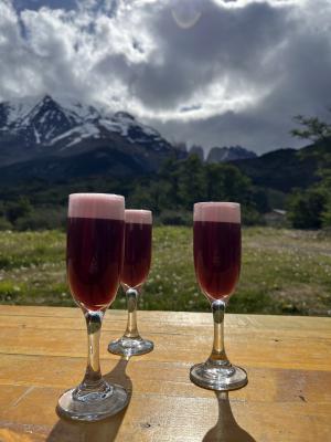 Drei Calafate Sour vor dem Torres del Paine