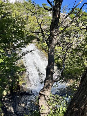 Wasserfall mit Bäumen
